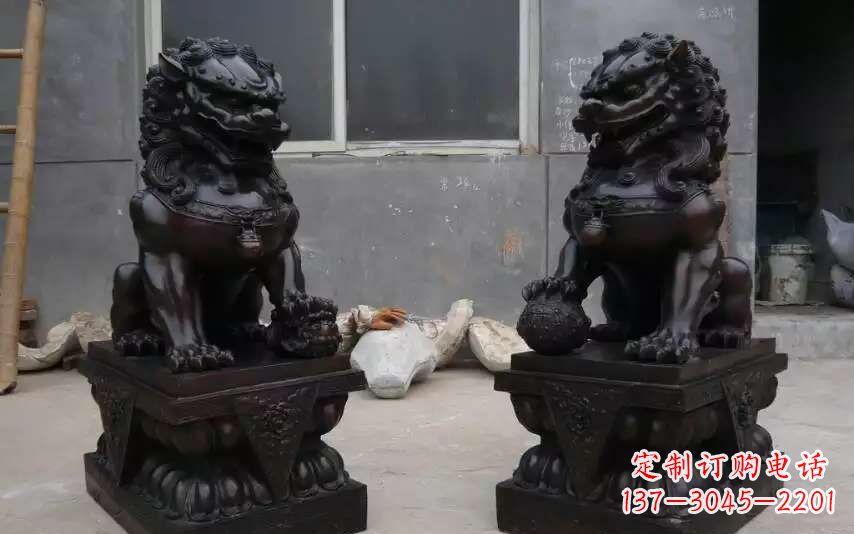 内蒙古踩球镇的狮子之家